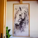 Wista Wio Chalet Zakopane