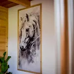 Wista Wio Chalet Zakopane