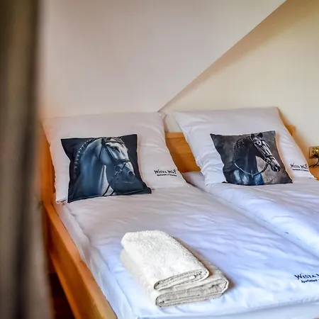 Wista Wio Chalet Zakopane