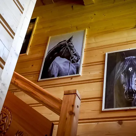 Chalet Wista Wio Zakopane