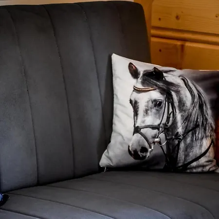 Wista Wio * Zakopane