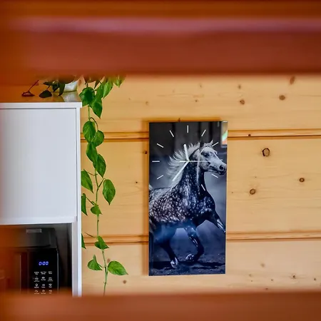 Wista Wio Chalet Zakopane