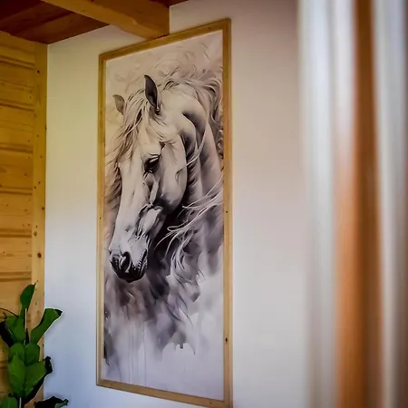 Wista Wio Chalet Zakopane