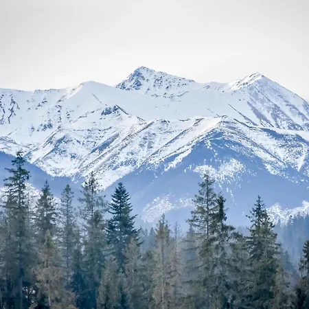Wista Wio Zakopane