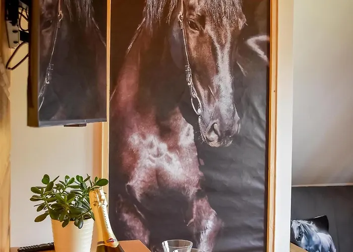 Domek alpejski Wiśta Wio