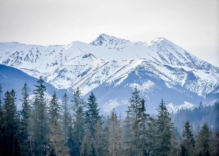 Wiśta Wio Zakopane